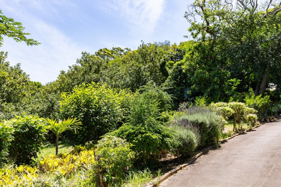 Commercial Property for Sale in Melville KwaZulu-Natal