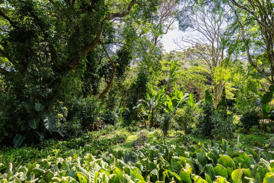 Commercial Property for Sale in Melville KwaZulu-Natal