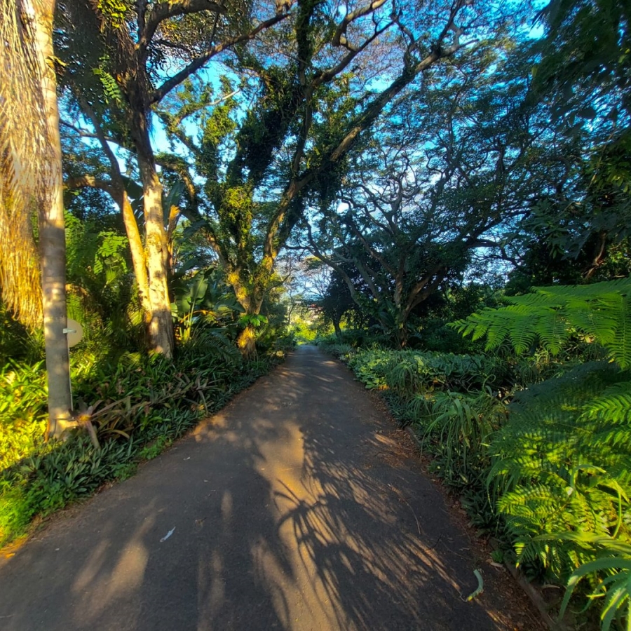 Commercial Property for Sale in Melville KwaZulu-Natal