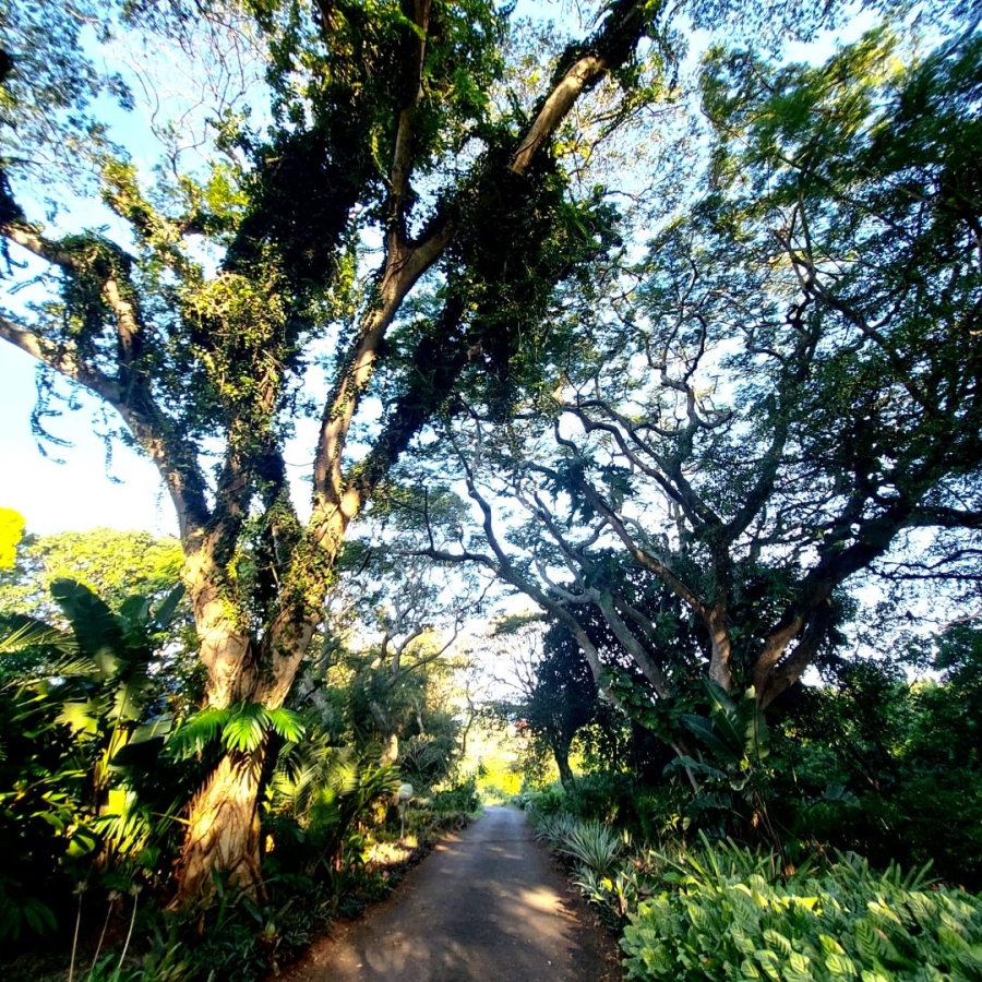 Commercial Property for Sale in Melville KwaZulu-Natal