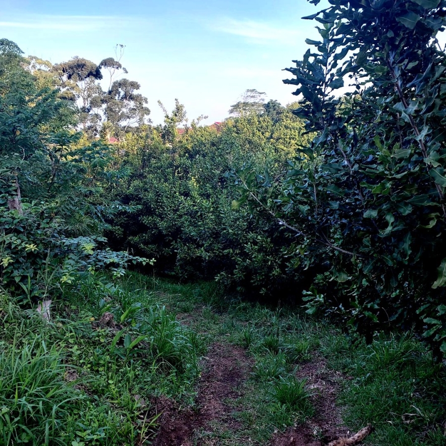 Commercial Property for Sale in Melville KwaZulu-Natal