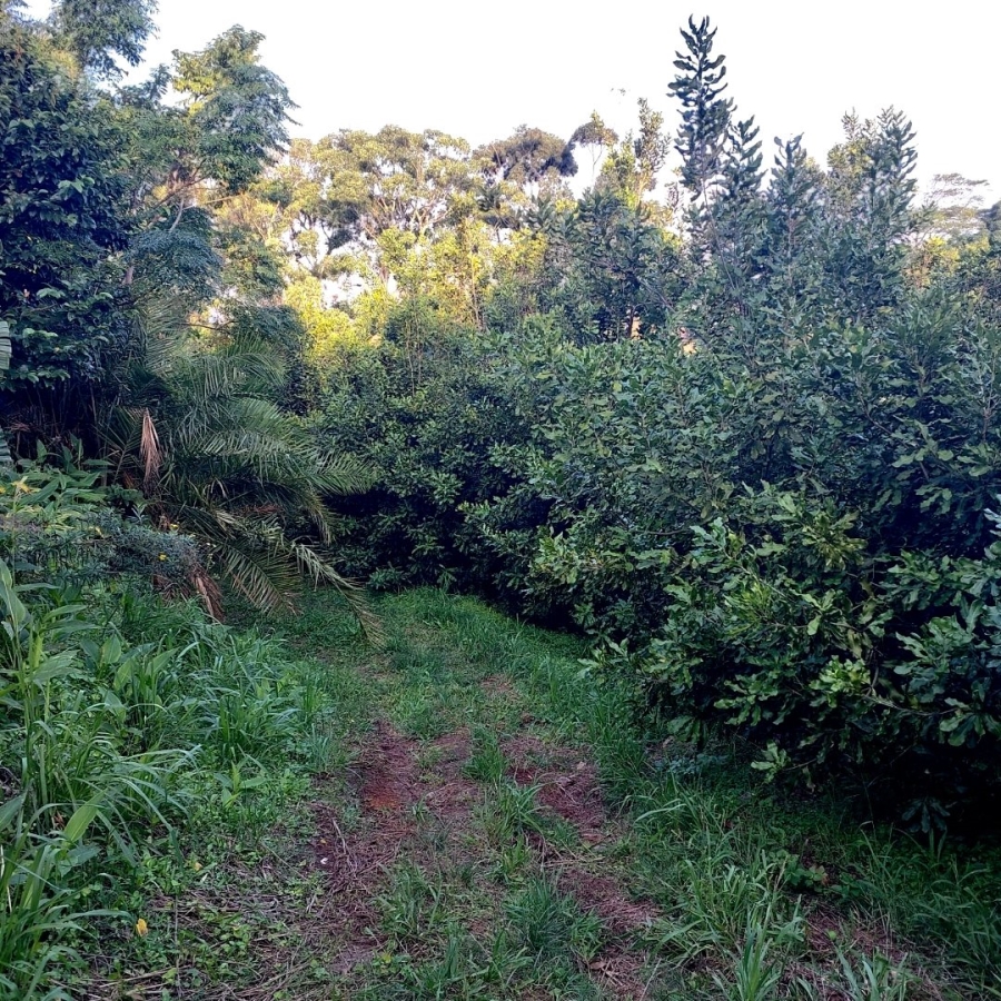 Commercial Property for Sale in Melville KwaZulu-Natal