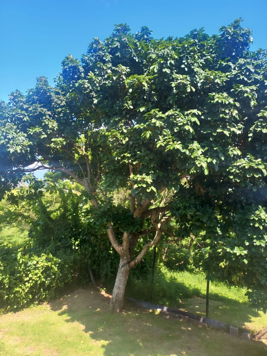 Commercial Property for Sale in Marburg KwaZulu-Natal