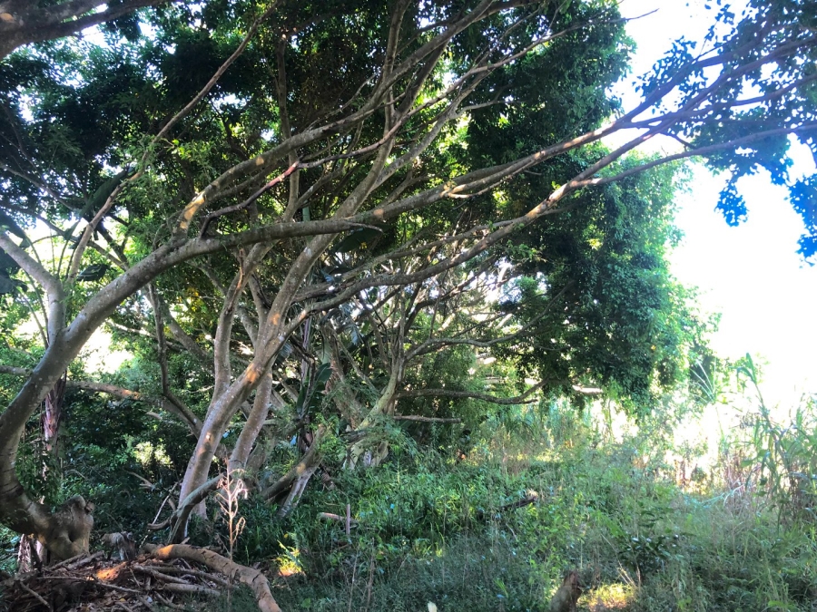 Commercial Property for Sale in Southport KwaZulu-Natal