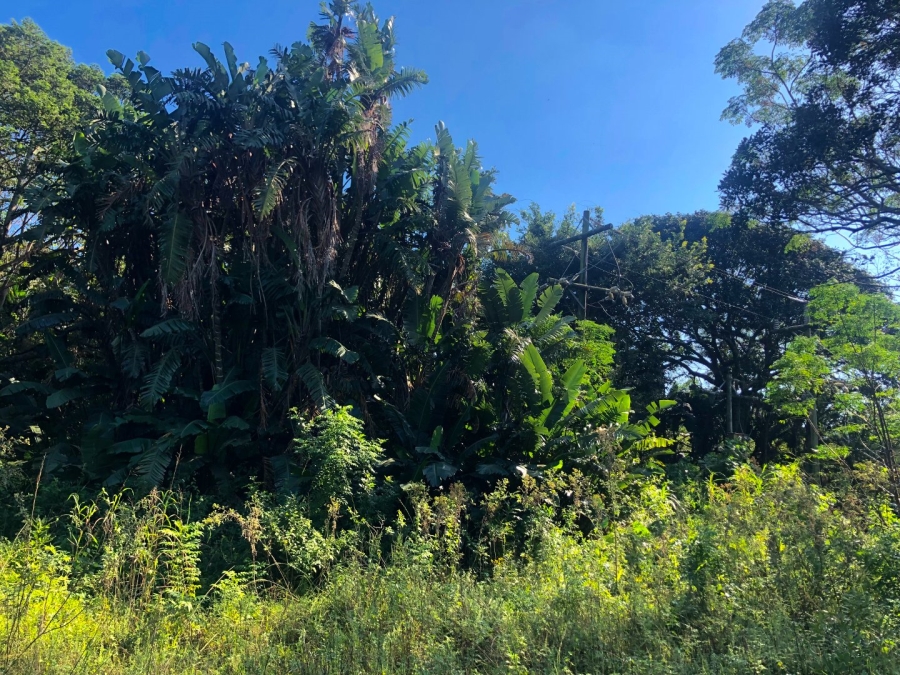 Commercial Property for Sale in Southport KwaZulu-Natal