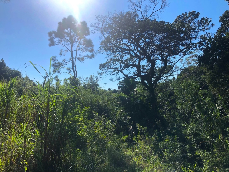 Commercial Property for Sale in Southport KwaZulu-Natal