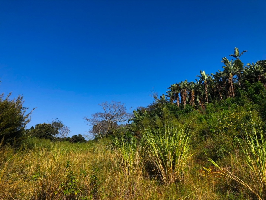 Commercial Property for Sale in Southport KwaZulu-Natal