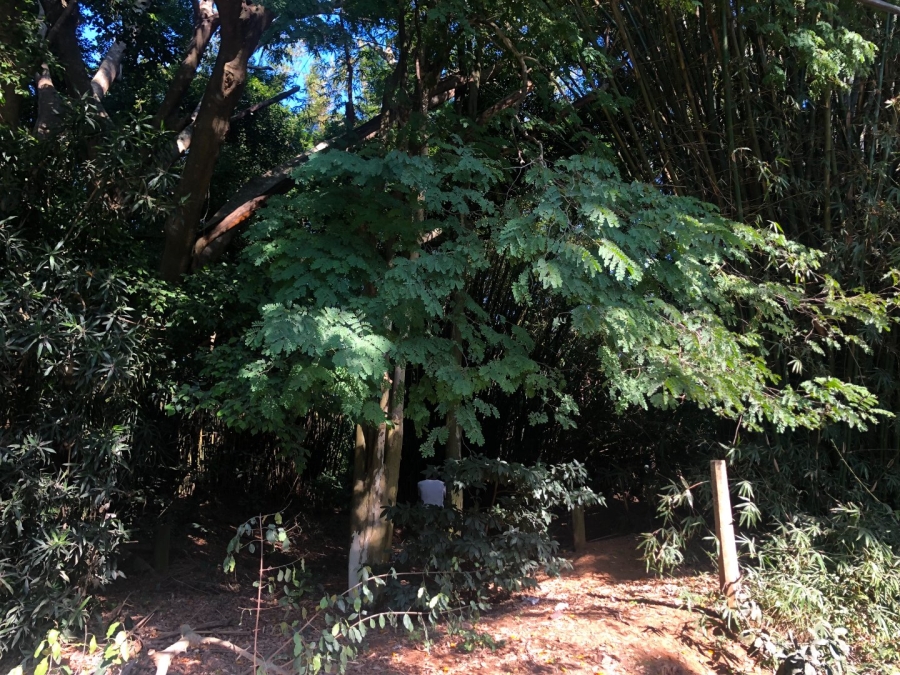 Commercial Property for Sale in Southport KwaZulu-Natal