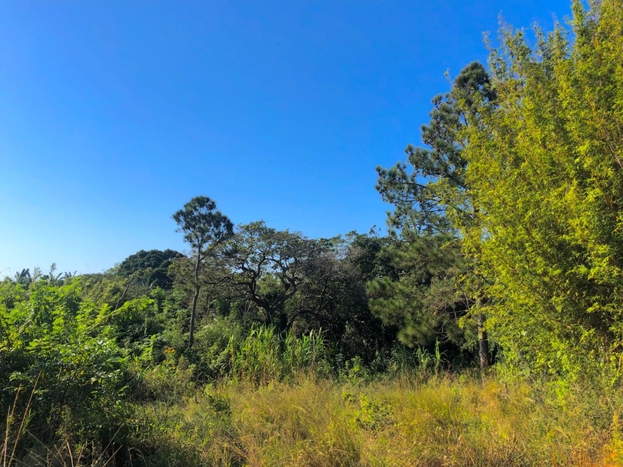 Commercial Property for Sale in Southport KwaZulu-Natal