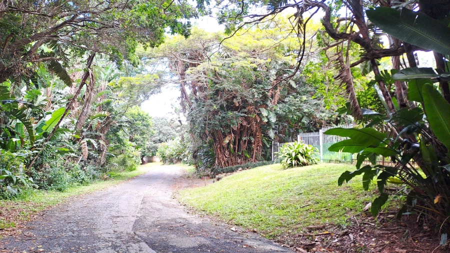 Commercial Property for Sale in Trafalgar KwaZulu-Natal