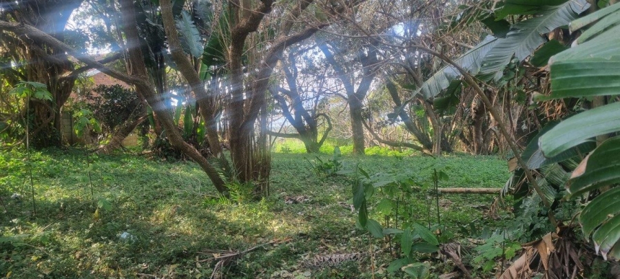 Commercial Property for Sale in Melville KwaZulu-Natal