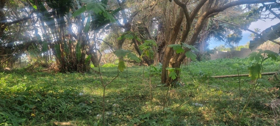 Commercial Property for Sale in Melville KwaZulu-Natal