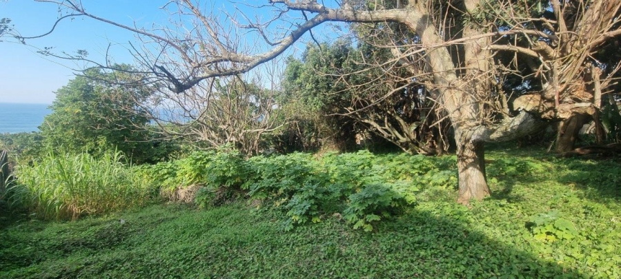 Commercial Property for Sale in Melville KwaZulu-Natal