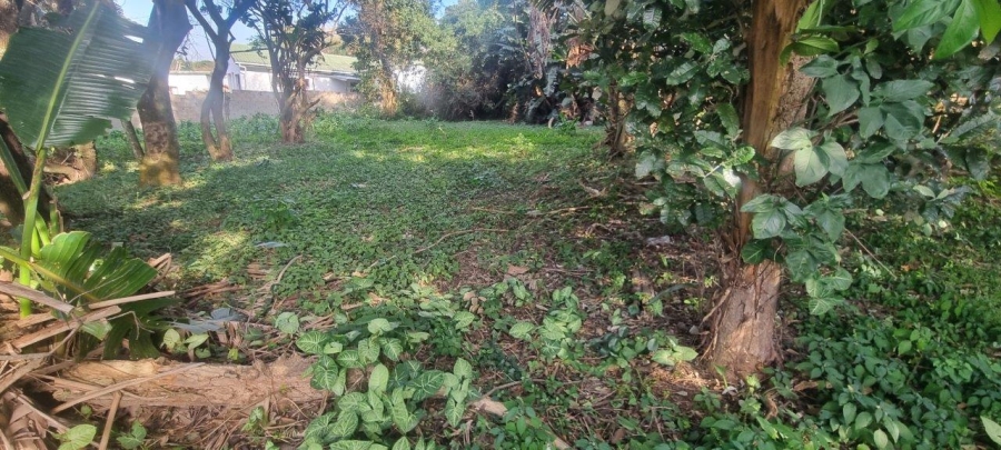 Commercial Property for Sale in Melville KwaZulu-Natal