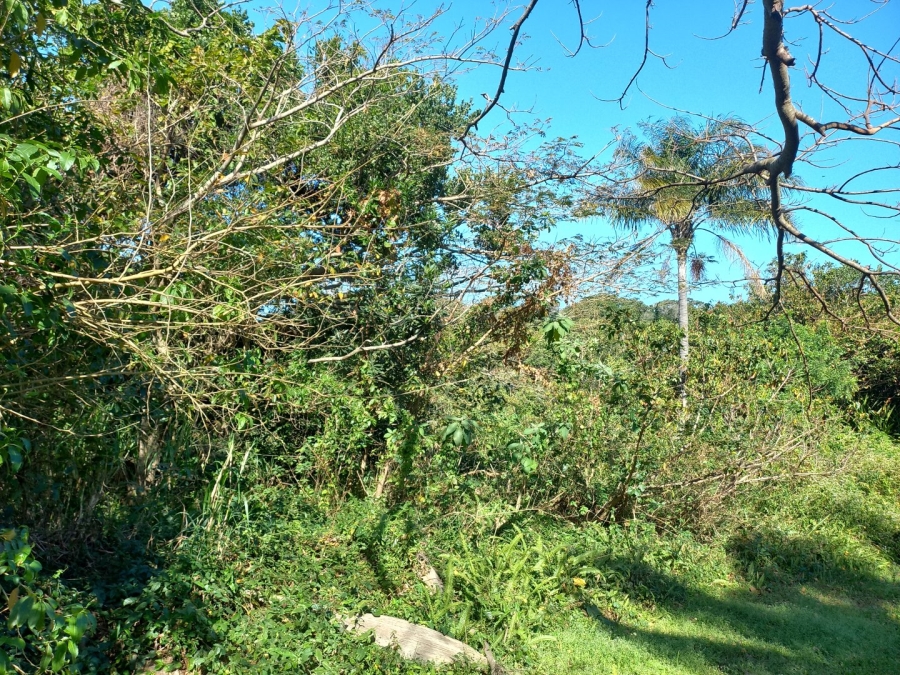 Commercial Property for Sale in Umzumbe KwaZulu-Natal