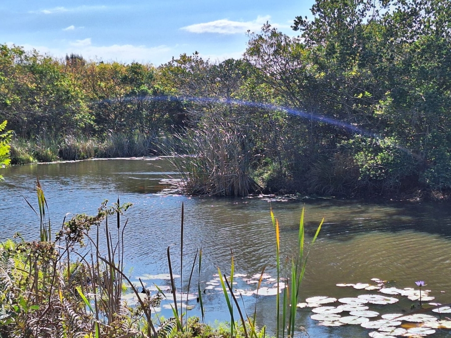 Commercial Property for Sale in Hibberdene KwaZulu-Natal