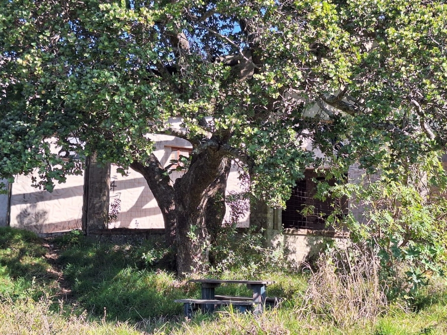 Commercial Property for Sale in Hibberdene KwaZulu-Natal