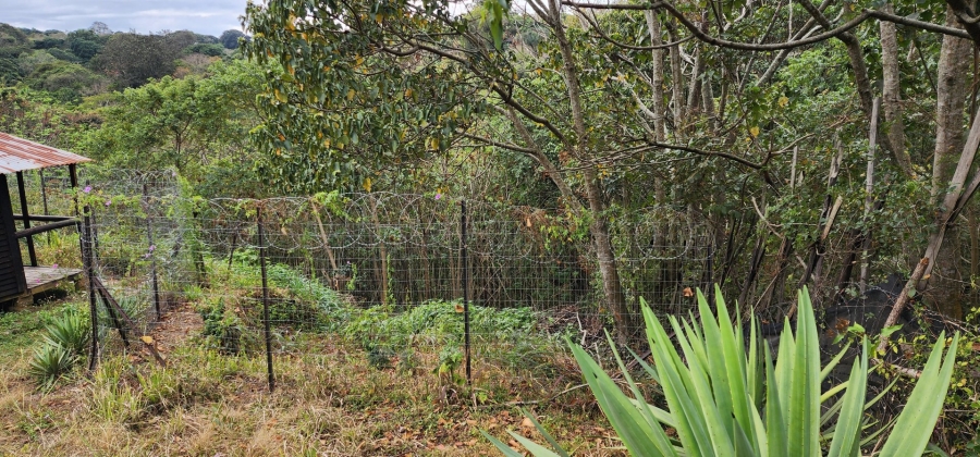 Commercial Property for Sale in Umtentweni KwaZulu-Natal