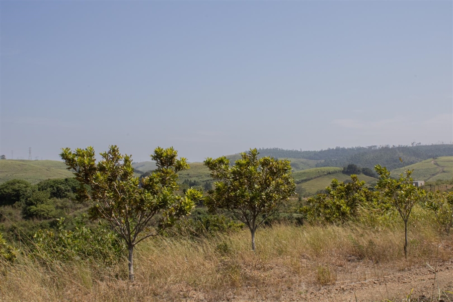 Commercial Property for Sale in Sea Park KwaZulu-Natal