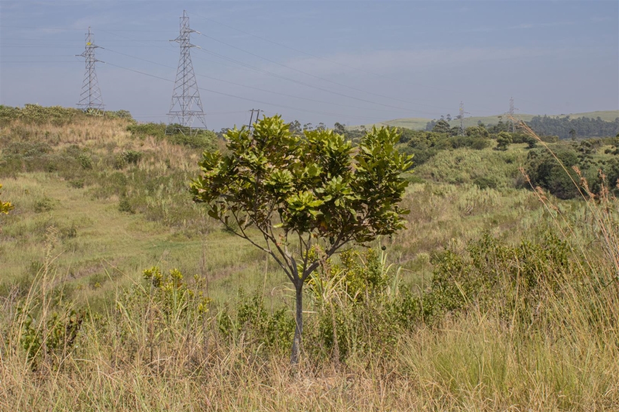 Commercial Property for Sale in Sea Park KwaZulu-Natal