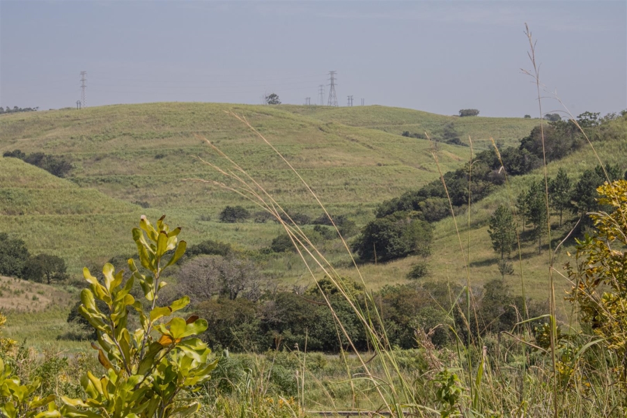 Commercial Property for Sale in Sea Park KwaZulu-Natal