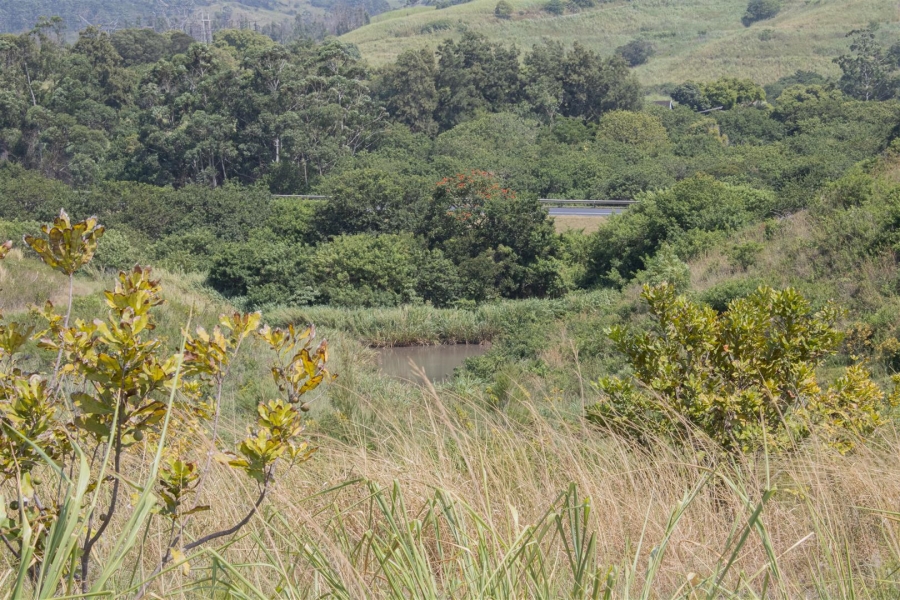 Commercial Property for Sale in Sea Park KwaZulu-Natal