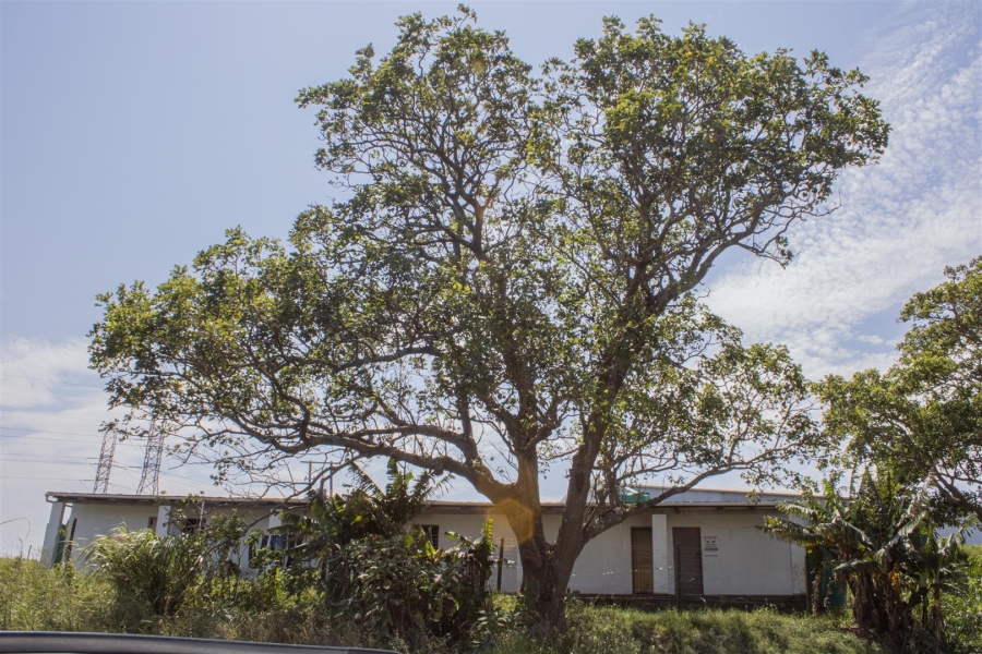 Commercial Property for Sale in Sea Park KwaZulu-Natal