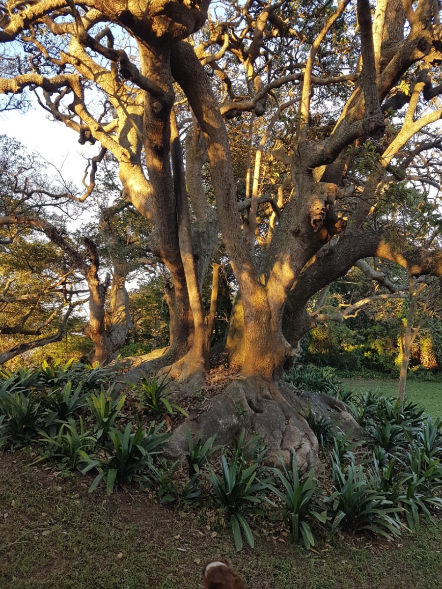 6 Bedroom Property for Sale in Groutville KwaZulu-Natal