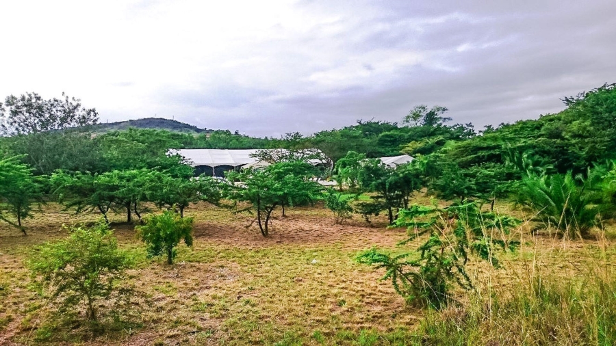 4 Bedroom Property for Sale in Eshowe Rural KwaZulu-Natal