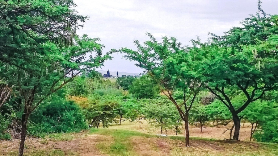 4 Bedroom Property for Sale in Eshowe Rural KwaZulu-Natal