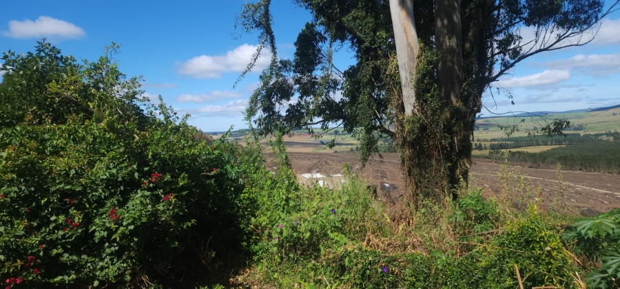 4 Bedroom Property for Sale in Greytown KwaZulu-Natal