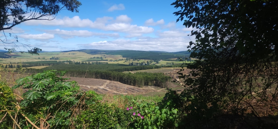 4 Bedroom Property for Sale in Greytown KwaZulu-Natal