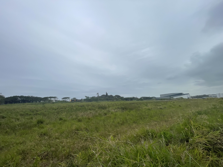 Commercial Property for Sale in North Point KwaZulu-Natal