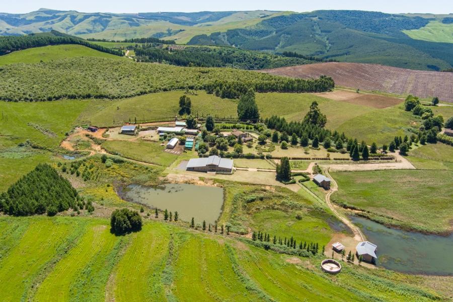 14 Bedroom Property for Sale in Lions River KwaZulu-Natal