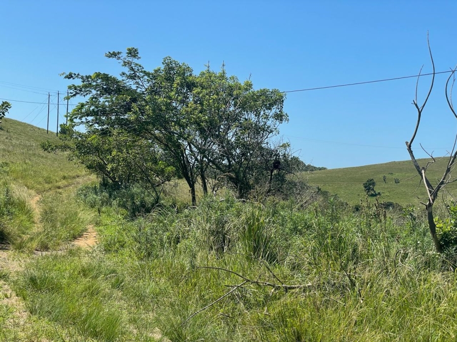 1 Bedroom Property for Sale in Tugela KwaZulu-Natal