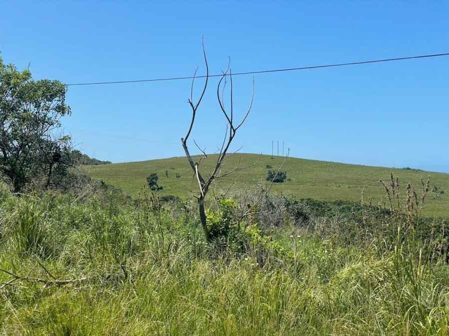 1 Bedroom Property for Sale in Tugela KwaZulu-Natal