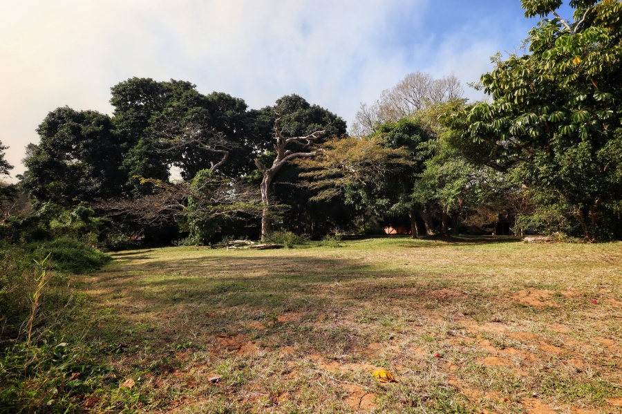 Commercial Property for Sale in St Lucia KwaZulu-Natal