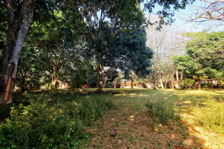 Commercial Property for Sale in St Lucia KwaZulu-Natal