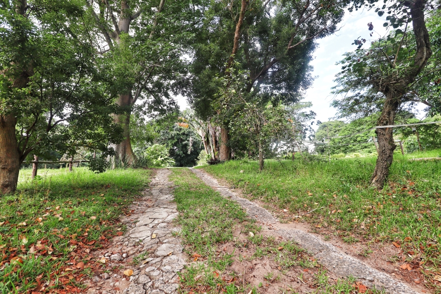 5 Bedroom Property for Sale in St Lucia KwaZulu-Natal