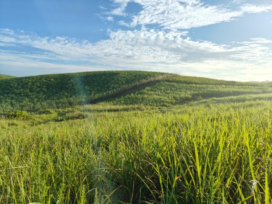 0 Bedroom Property for Sale in Seaton Estate KwaZulu-Natal