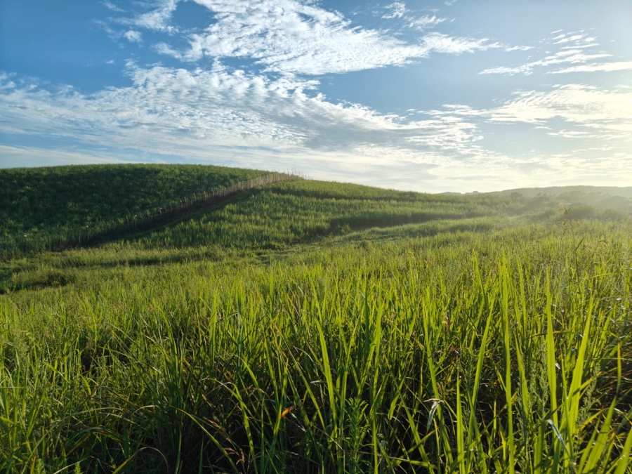 0 Bedroom Property for Sale in Seaton Estate KwaZulu-Natal