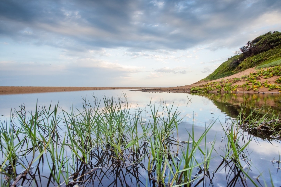 0 Bedroom Property for Sale in Seaton Estate KwaZulu-Natal