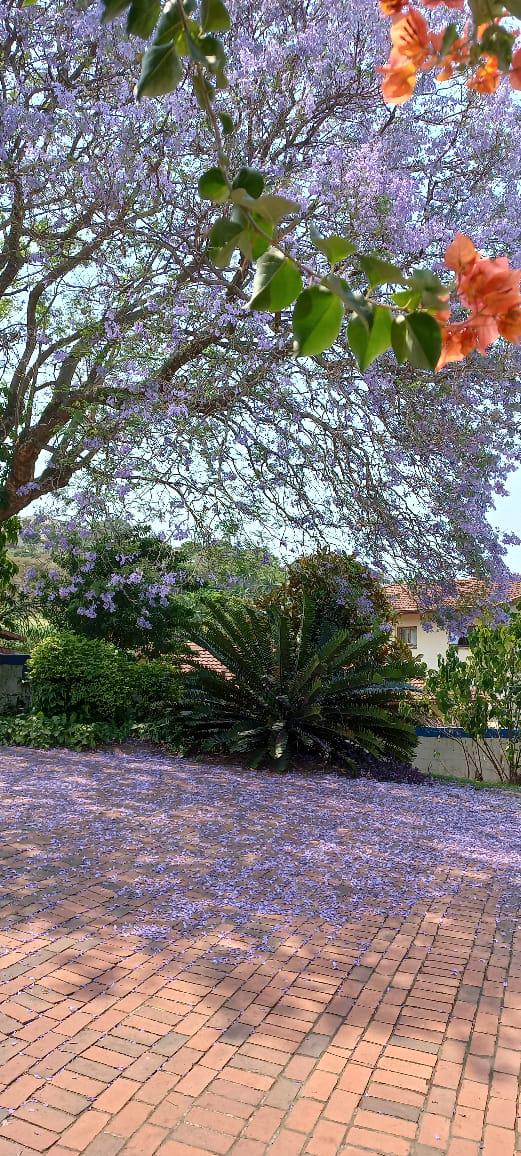 4 Bedroom Property for Sale in Stanger Heights KwaZulu-Natal