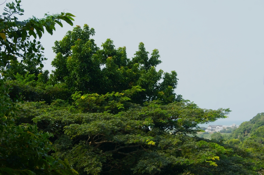 0 Bedroom Property for Sale in Prince