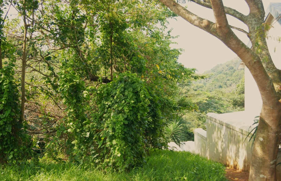 0 Bedroom Property for Sale in Prince