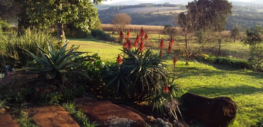 Commercial Property for Sale in Ixopo KwaZulu-Natal