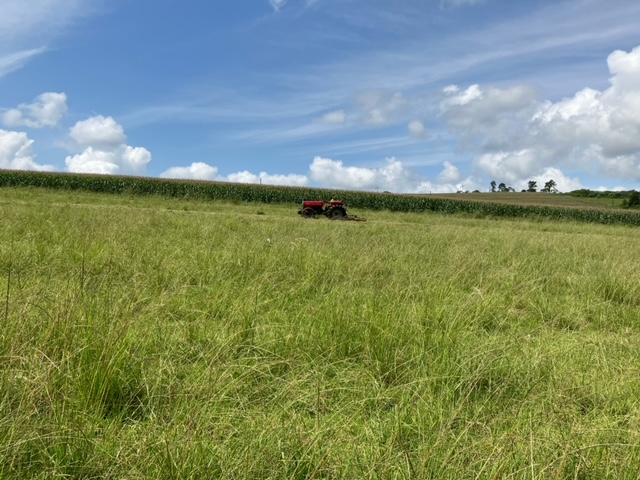 Commercial Property for Sale in Ixopo KwaZulu-Natal