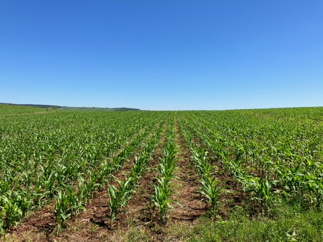 Commercial Property for Sale in Ixopo KwaZulu-Natal