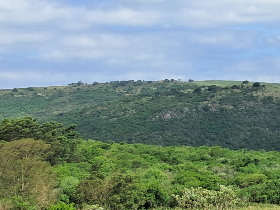 Commercial Property for Sale in Ixopo KwaZulu-Natal