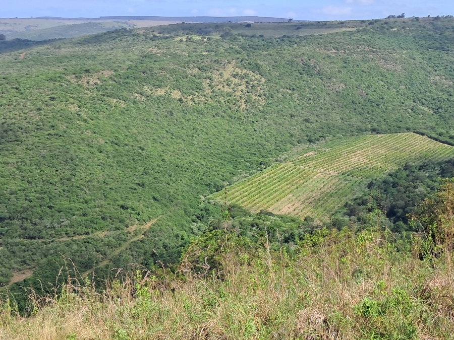 Commercial Property for Sale in Ixopo KwaZulu-Natal